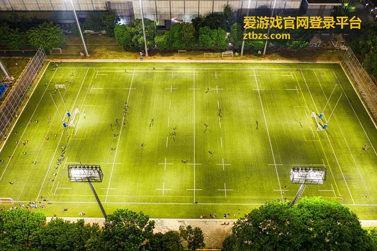 爱游戏官网登录平台专题目录编号说明配图